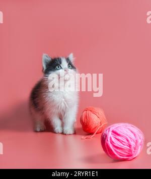 Gattino con palline multicolore di fili di lana su sfondo rosa Foto Stock