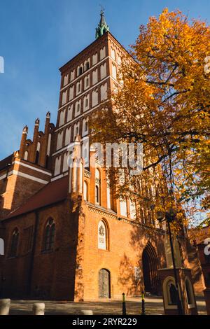 Olsztyn Polonia ottobre 2022 famose attrazioni turistiche architettura destinazioni di viaggio a Olsztyn. Via del Municipio della città Vecchia sulla Foto Stock