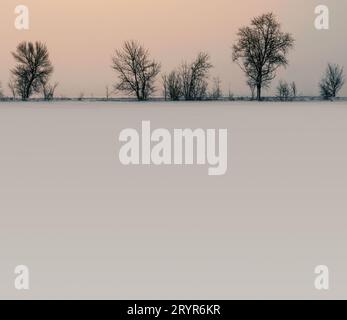 Paesaggio neve sul terreno e alberi senza foglie Foto Stock