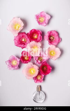 Bottiglia di profumo da donna e fiori di malva rosa. Bellezza minimalista Foto Stock