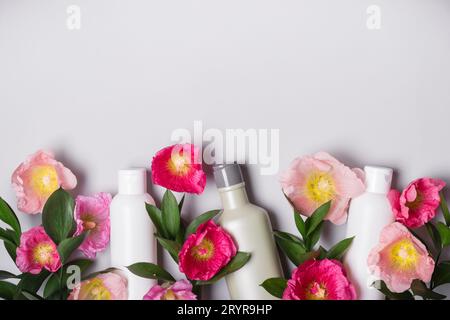 Set di cosmetici naturali. Prodotti biologici ed erbe selvatiche e malva floreale Foto Stock