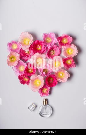 Le donne della bottiglia di profumo e di rosa fiori di malva. Il minimalismo Il concetto di bellezza Foto Stock
