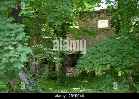Caste Ruin Pottendorf, Austria Foto Stock