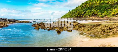 Mare tra vegetazione e rocce sulla spiaggia di Prainha Foto Stock