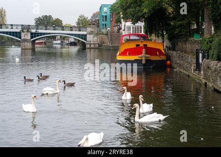 Windsor, Berkshire, Regno Unito. 2 ottobre 2023. Una chiatta colorata sul Tamigi. Oggi è stata una giornata mite a Windsor, nel Berkshire, con temperature a 21 gradi. Questo pomeriggio sono previste docce con pioggia e tuoni. Credito: Maureen McLean/Alamy Live News Foto Stock