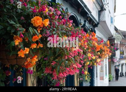 Windsor, Berkshire, Regno Unito. 2 ottobre 2023. Cestini sospesi estivi ancora fioriti a Windsor. Oggi è stata una giornata mite a Windsor, nel Berkshire, con temperature a 21 gradi. Questo pomeriggio sono previste docce con pioggia e tuoni. Credito: Maureen McLean/Alamy Live News Foto Stock