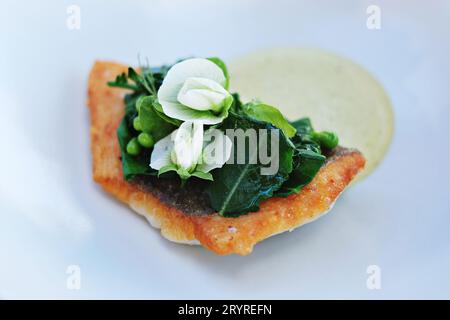 Filetto di pesce John Dory, Spigarello verde, piselli e fiori di piselli, con emulsione di agrumi Sudachi. Ottimo ristorante Bennelong, Sydney, Australia Foto Stock