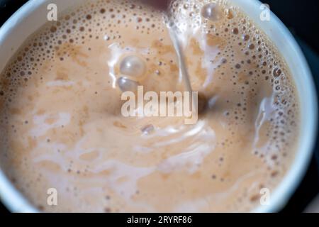 Foto macro di Mistring Pakistani Chai Foto Stock