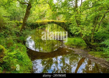 Il ponte coperto di edera sul Afon Prysor nella riserva naturale nazionale di Ceunant Llennyrch vicino a Maentwrog, nel Galles del Nord Foto Stock