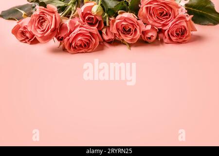 Cartellino rosa con delicate rose di corallo. Concetto della festa della mamma Foto Stock