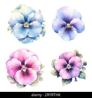 Set di fiori di pansy ad acquerello, pansies multicolore Foto Stock