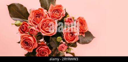 Bouquet di bellissime rose coralline da vicino. Formato banner Foto Stock