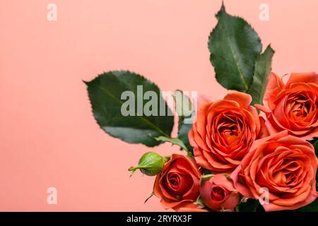 Biglietto d'auguri o invito. bellissimo bouquet di mini rose di corallo Foto Stock