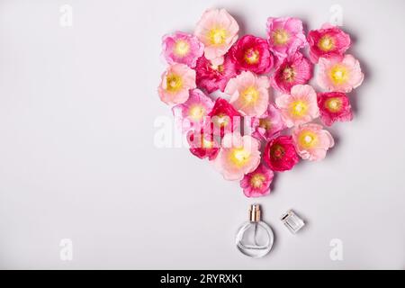 Le donne della bottiglia di profumo e di rosa fiori di malva. Il minimalismo Il concetto di bellezza Foto Stock