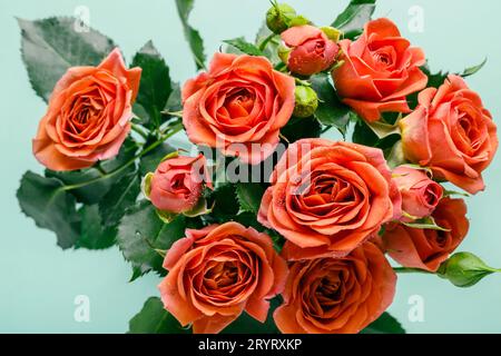 Bouquet di bellissime rose coralline su sfondo turchese da vicino Foto Stock