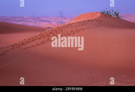 Dune e passi dai deserti Foto Stock