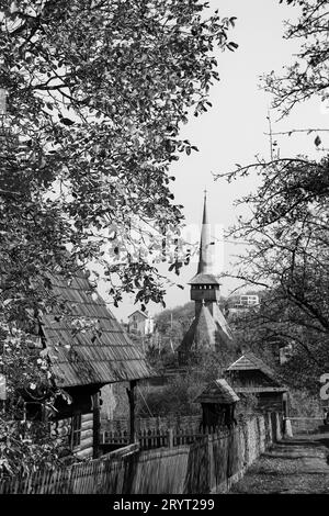 Chiesa in legno bianco e nero in lontananza e tra alberi autunnali nel Parco Etnografico Romulus Vuia Foto Stock