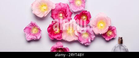 Bottiglia di profumo da donna e fiori di malva rosa. Bellezza minimalista Foto Stock