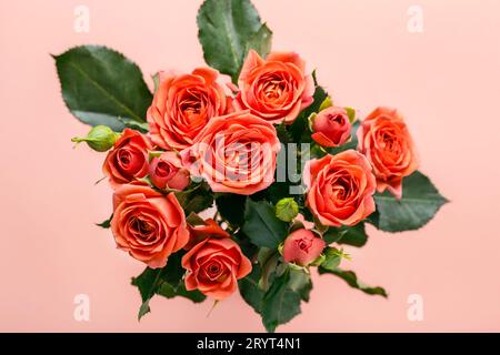 Bouquet di bellissime rose coralline su sfondo rosa Foto Stock