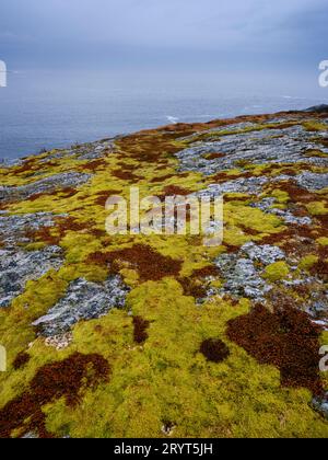 Paesaggio vicino a Mefjordvaer. L'isola Senja durante l'inverno nel nord della Norvegia. Europa, Norvegia, Senja, marzo Foto Stock