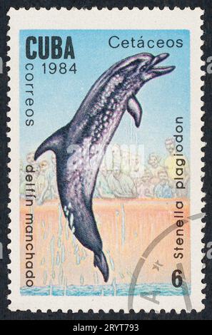 Il delfino maculato Atlantico (Stenella frontalis o plagiodon). Serie di cetacei. Francobollo emesso a Cuba nel 1984. Foto Stock