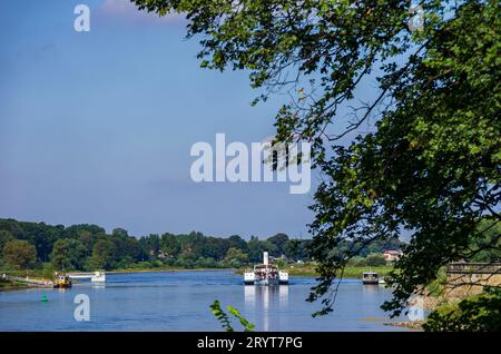 Lo storico piroscafo a pale LEIPZIG naviga a monte sul fiume Elba, Pillnitz, Sassonia, Germania. Foto Stock