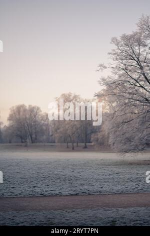 Un prato del parco e un'area boschiva sono coperti da gelo invernale e toccati dal sole che sorge. In primo piano c'è un sentiero pedonale. Foto Stock