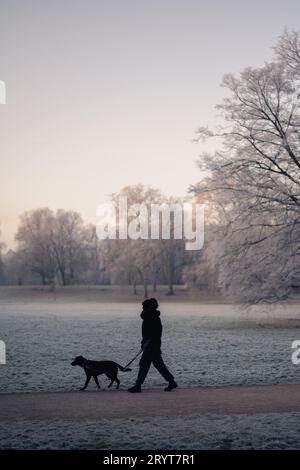 Un prato del parco e un'area boschiva sono coperti da gelo invernale e toccati dal sole che sorge. In primo piano oscuro una giovane donna cammina con lei Foto Stock