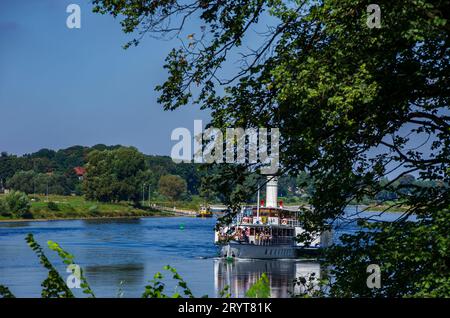 Lo storico piroscafo a pale LEIPZIG naviga a monte sul fiume Elba, Pillnitz, Sassonia, Germania, il 24 agosto, 2016. Foto Stock