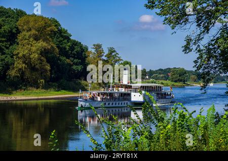 Lo storico piroscafo a pale LEIPZIG naviga a monte sul fiume Elba, Pillnitz, Sassonia, Germania, il 24 agosto, 2016. Foto Stock