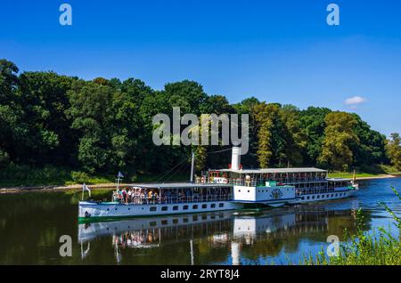 Elbdampfer bei Pillnitz, Sachsen, Deutschland Der historische Raddampfer LEIPZIG fährt die Elbe stromauf, Pillnitz, Sachsen, Deutschland, 24. Agosto 2016, nur zur redaktionellen Verwendung. Lo storico piroscafo a pale LEIPZIG naviga a monte sul fiume Elba, Pillnitz, Sassonia, Germania, il 24 agosto, 2016, solo per uso editoriale. Foto Stock