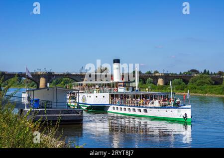 PD LIPSIA a Pirna, Sachsen, Deutschland Der historische Raddampfer LEIPZIG an der Anlegestelle a Pirna, Sächsische Schweiz, Sachsen, Deutschland, 24. Agosto 2016, nur zur redaktionellen Verwendung. Lo storico piroscafo a pale LIPSIA presso il pontile di Pirna, Svizzera sassone, Sassonia, Germania, 24 agosto, 2016, solo per uso editoriale. Foto Stock