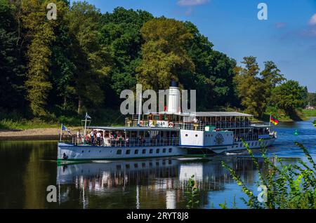 Elbdampfer bei Pillnitz, Sachsen, Deutschland Der historische Raddampfer LEIPZIG fährt die Elbe stromauf, Pillnitz, Sachsen, Deutschland, 24. Agosto 2016, nur zur redaktionellen Verwendung. Lo storico piroscafo a pale LEIPZIG naviga a monte sul fiume Elba, Pillnitz, Sassonia, Germania, il 24 agosto, 2016, solo per uso editoriale. Foto Stock