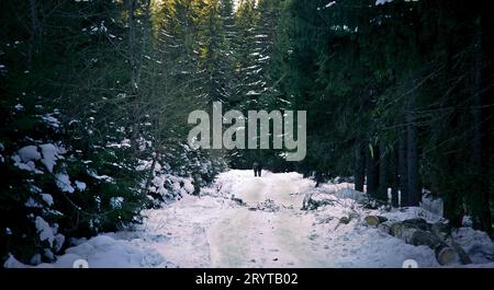 Una splendida scena invernale di una strada tortuosa e innevata attraverso una foresta con una coppia sullo sfondo Foto Stock