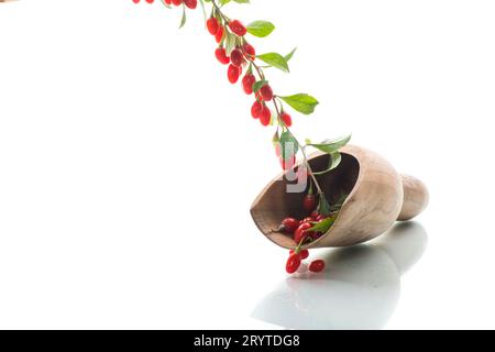 Ramo con bacca di goji rossa matura isolata su sfondo bianco Foto Stock