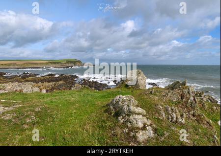 Paesaggio costiero all'Isola di Whithorn, sulle Machars, Galloway, Scozia Foto Stock