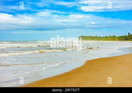 Spiaggia di Sargi con palme da cocco vicino al mare Foto Stock