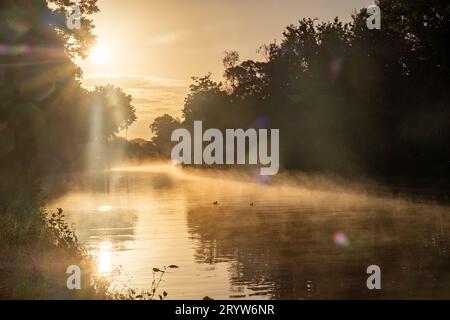 Mattinata mistica: La luce del sole che irrompe attraverso il fiume Misty, foto del sole che splende attraverso la nebbia mattutina sull'acqua di un fiume Foto Stock