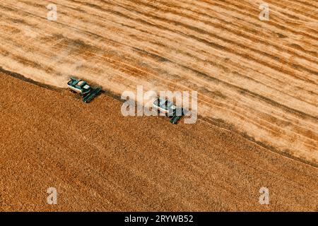 Vista aerea di due mietitrebbia su campo mietitura Foto Stock
