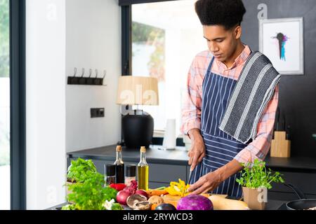 Felice uomo birazziale che indossa il grembiule che prepara il pasto e trita le verdure in una cucina soleggiata Foto Stock