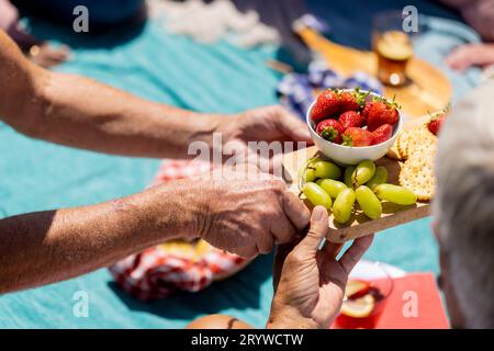 Primo piano delle mani di persone anziane e diverse sedute su una coperta e che fanno un picnic in giardino Foto Stock