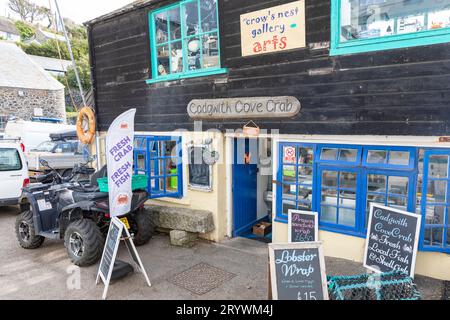 Cadgwith villaggio di pescatori in Cornovaglia, piccolo negozio che vende pesce fresco e spuntini di pesce e panini, Cornovaglia, Inghilterra, Regno Unito Foto Stock