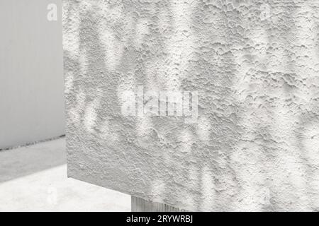 Texture parete in cemento bianco AbstractÂ con ombra silhouette motivo naturale abstract motivo decorativo con effetto sovrapposto a parete fissa Foto Stock