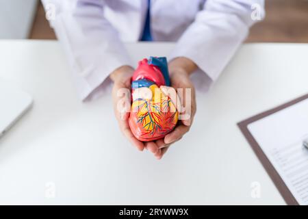 Medico con modello anatomico del cuore umano cardiologo supporta il cuore. cardiologia diagnosi controllo medico cardiologo in esame Foto Stock