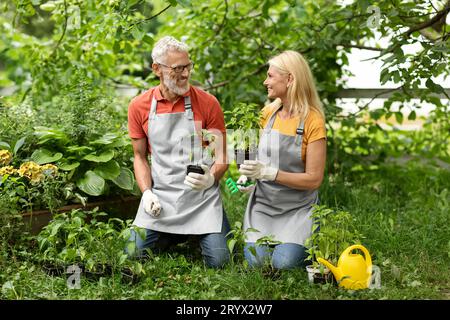 Ritratto dei coniugi maturi sorridenti che giardinano insieme sul cortile Foto Stock