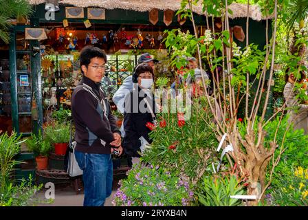 Parigi, Francia, per piccoli gruppi, shopping di piante domestiche per famiglie di turisti giapponesi, Ile de la Cité, mercato dei fiori, piante domestiche Foto Stock