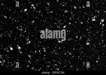 Caduta di fiocchi di neve su sfondo nero. Texture per sovrapporre la neve per un design perfetto. Foto Stock