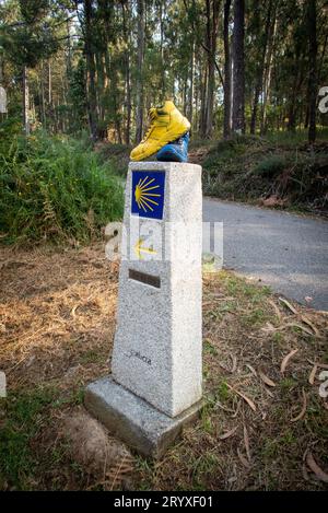 Uno scherzo pratico e motivazionale per i pellegrini sul Camino portoghese vicino a Cesantes. Un paio di vecchi stivali da trekking dipinti di giallo e blu si trova sopra un tipico segnaposto. Foto Stock