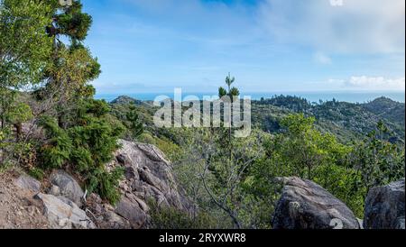 Una vista spettacolare su una delle escursioni a Magnetic Island che conduce alla storica fortificazione dell'11° Guerra Mondiale e al punto panoramico conosciuto come "i forti". Foto Stock