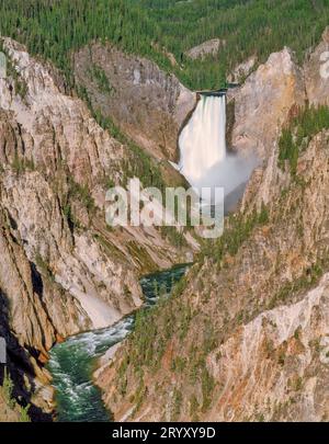 Abbassare yellowstone falls e canyon nel parco nazionale di Yellowstone, wyoming Foto Stock